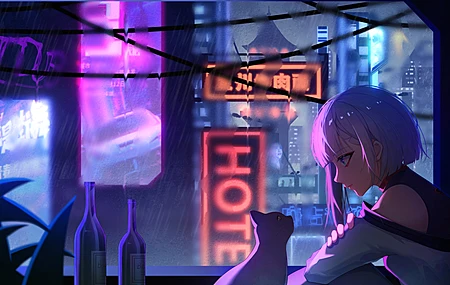 动漫女孩 猫 雨 霓虹灯 动物 树叶 城市 城市灯光 电脑 4K高清壁纸 4425×2654