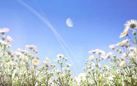精选Hello World 风景 雏菊 动漫截图 电脑 4K壁纸 3840×2160