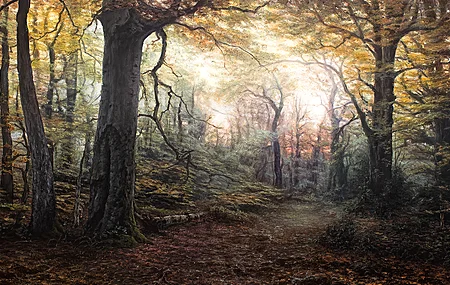 超清自然 风景 树木 森林 树叶 秋天 绘画 电脑 壁纸 3840×2160
