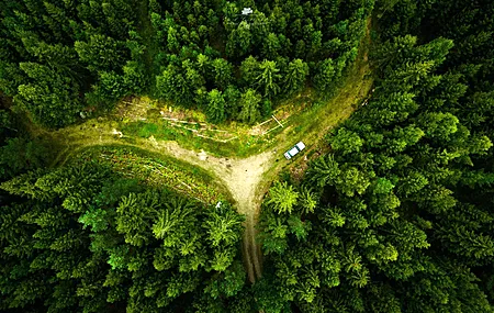 唯美无人机 风景 自然 鸟瞰 森林 绿色 电脑 壁纸 3992×2242