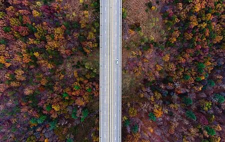 自然道路 树木 秋天 汽车 电脑 4K高清壁纸 3935×2210