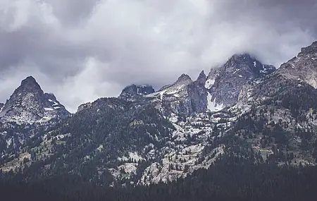 热门自然 树木 雪 山 电脑 高清壁纸 6016×3123