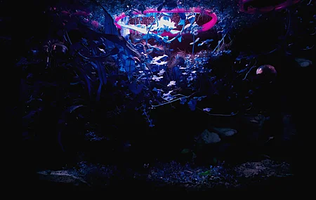 紫色背景 蓝色背景 水族馆 水 水下 植物 摄影 超宽 电脑贴纸 8 K贴纸 4K高清壁纸 8284×3468