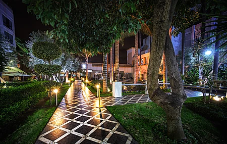 热门摩洛哥 拉巴特 城市 花园 夜 树 灯 电脑 高清壁纸 3840×2160