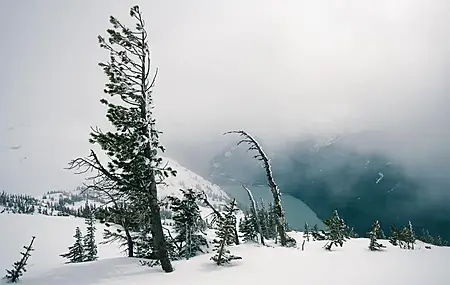热门风景 自然 雪 雾 云 山景 电脑 高清壁纸 4240×2832