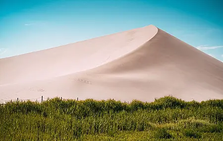 沙子 自然 景观 植物 草 沙丘 蓝天 电脑 壁纸 6000×4000