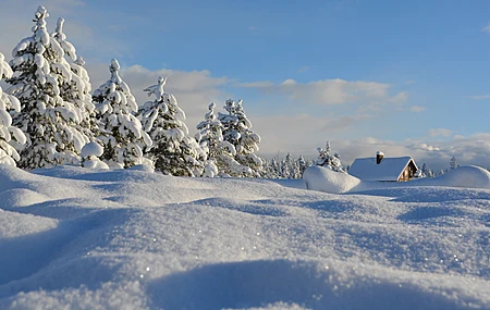 精选雪 白雪 松树 木屋 冬天 白色 寒冷 风景 电脑 壁纸 3840×2160
