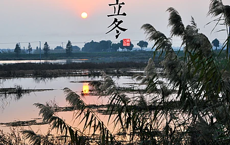 热门自然 风景 太阳 寒冷 立冬 湖 湖水 芦苇 电脑 高清壁纸 3948×2621