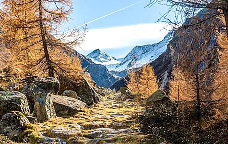 绝美自然 树木 雪 森林 道路 雪山 山脉 电脑 4K壁纸 5760×3840