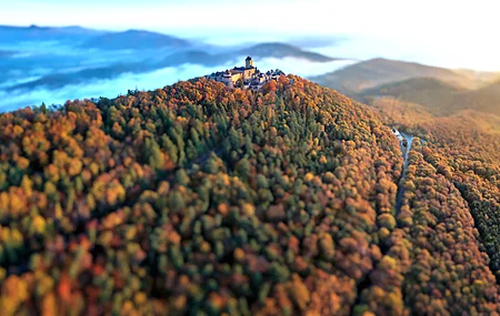 森林 秋天 自然 城堡 风景 散景 景深 阳光 电脑 手机壁纸 3840×2160
