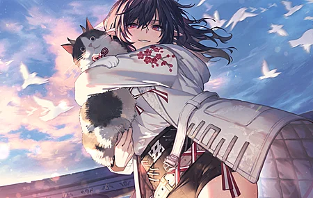 热门猫女 黑发 红眼 微笑 长发 大腿 猫 动漫女孩 日落 夕阳 天空 云 鸟 动物 阳光 短裤 电脑 高清壁纸 4093×2894