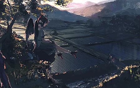精选稻田 山脉 日落 高清壁纸 3840×2160