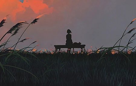 坐 草 猫 云 数字艺术 夕阳 天空 火烧云 剪影 傍晚 唯美 治愈 4K高清壁纸 3840×2160