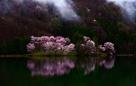 自然 景观 树木 山脉 水 森林 樱花 弱光 山谷 湖泊 4K高清壁纸 3840×2160