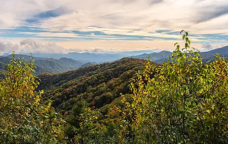 云 森林 自然 景观 山脉 山景 树木 手机壁纸 5595×2343