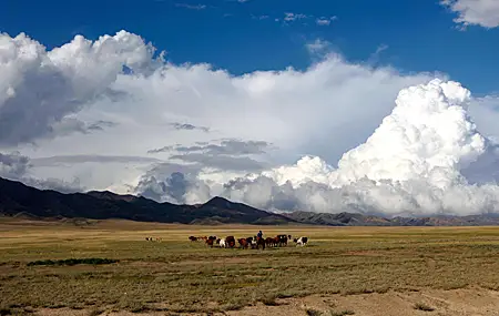 超清云 积雨云 牛 动物 自然 景观 山脉 草地 平原 牛群 壁纸 5088×2356