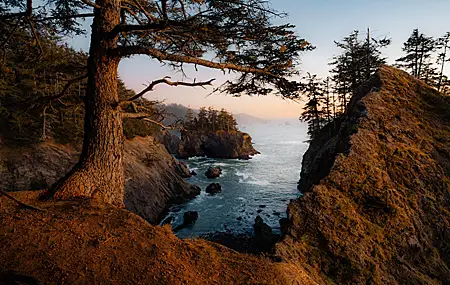 热门海洋 景观 树木 森林 岛屿 悬崖 海滩 波浪 自然 松树 高清壁纸 4151×2768