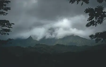 热门云 森林 自然 景观 黑暗 高清壁纸 4741×3161