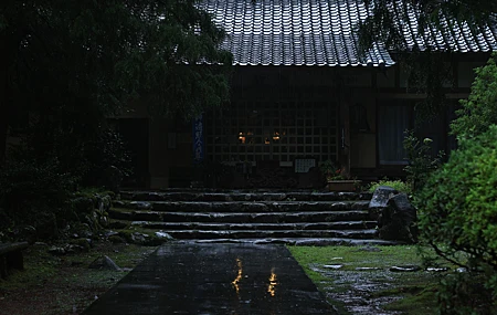 精选自然 石楼梯 黑暗 弱光 树木 植物 雨季 风 寺庙 壁纸 5120×2880