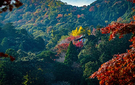 自然 寺庙 山脉 树木 树叶 秋天 森林 桌面壁纸 5120×2880