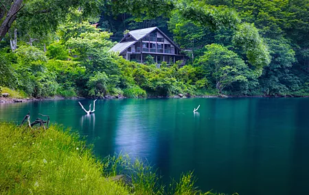 自然 景观 树木 植物 河流 木材 水 湖泊 废墟 废弃 森林 树叶 壁纸 5120×2880