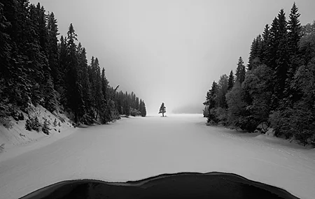 唯美自然 景观 雪 冬天 树木 森林 单色 霜冻 手机壁纸 3840×2160