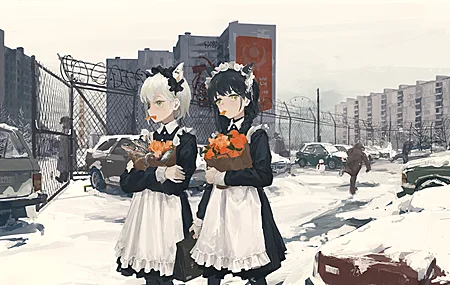 猫女 动漫 女孩 女仆 白雪 汽车 橙子 水果 鱼 刷子 4K高清壁纸 4560×2348