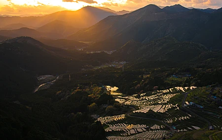 超清自然 风景 天空 山脉 树木 森林 城镇 农场 远景 电线 弱光 稻田 夕阳 阳光 壁纸 5120×2880