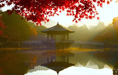 自然 景观 叶子 树叶 水面 倒影 桥梁 树木 阳光 早晨 秋天 4K壁纸 5802×3275