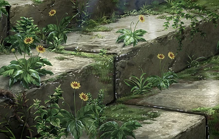 唯美绘画 向日葵 苔藓 台阶 石头 植物 草 攀爬 特写 无水印壁纸 4320×2430