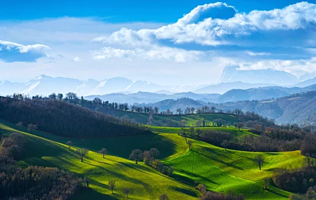 经典自然 风景 天空 云 草 田野 山丘 树木 阳光 远景 日出 森林 绿色 手机壁纸 5942×3444
